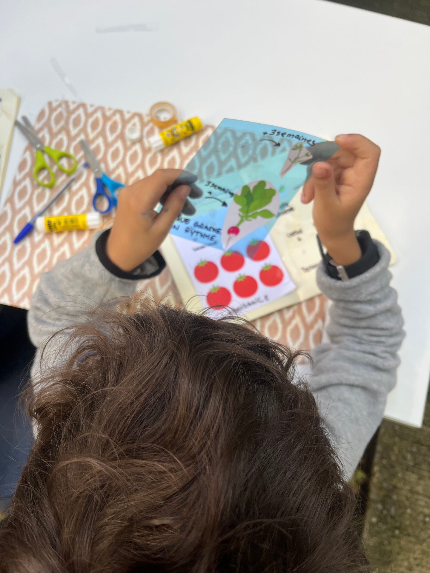 Enfant réalisant une activité autour des semis et du potager
