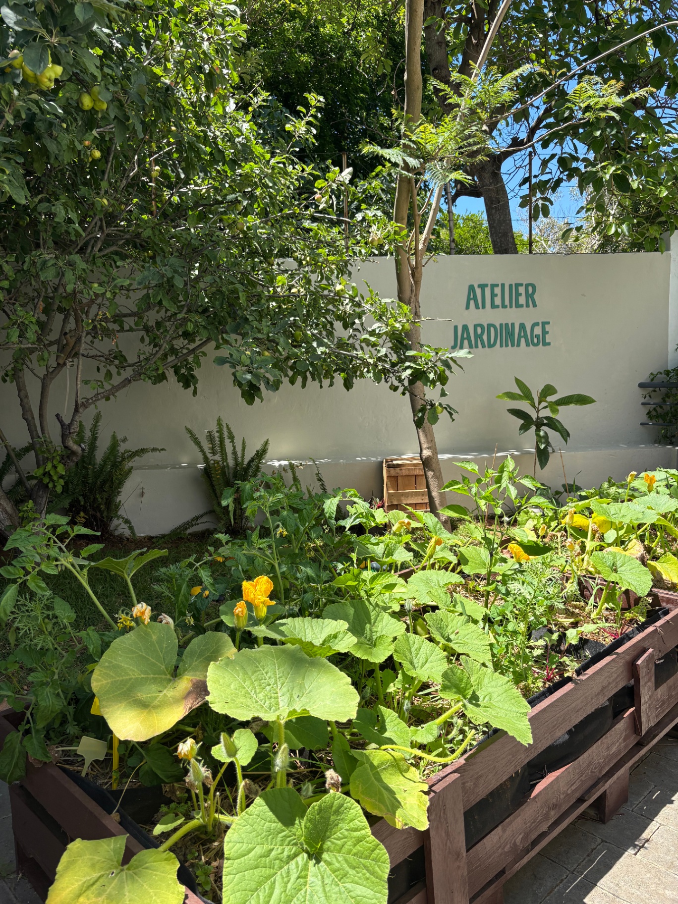 Le potager de l'atelier jardinage