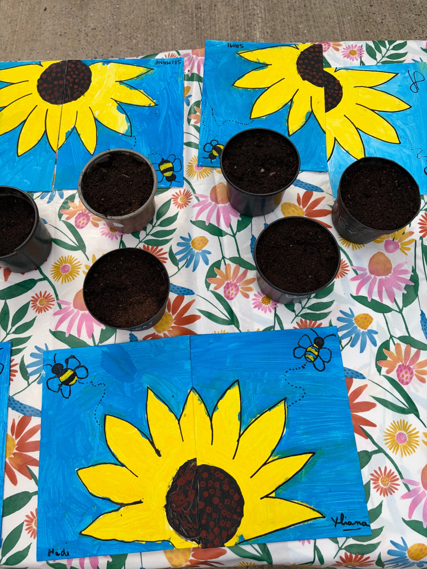 Peintures de tournesols réalisées par les enfants et pots de semis